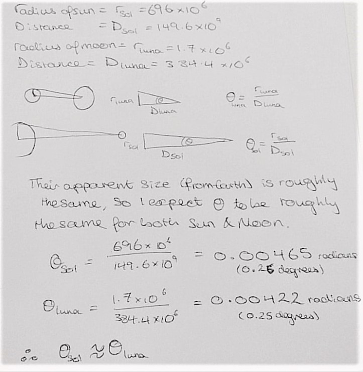 51313279_2669368556437223_6888961237355331584_o