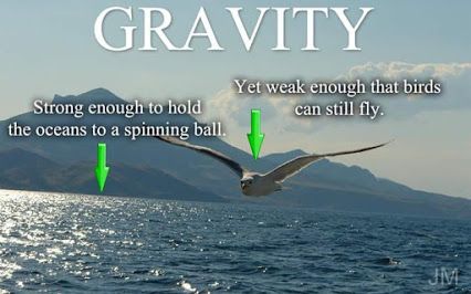 8ff2cececdbaec2fead5c8b766726c6c