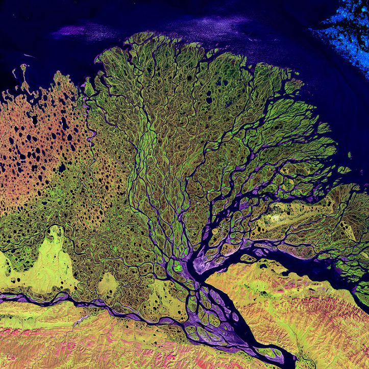 800px-Lena_River_Delta_-_Landsat_2000