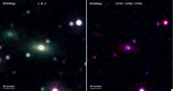 SN2006gyNASAPSUSwiftSNTeam